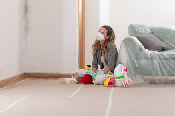 Reliable Mold Testing contractor in Clermont, GA by WQB Mold Removal